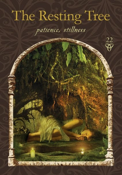 Wisdom of the Hidden Realms Oracle